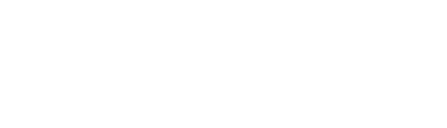 GOPLENTY GLOBAL · The Growth Partner